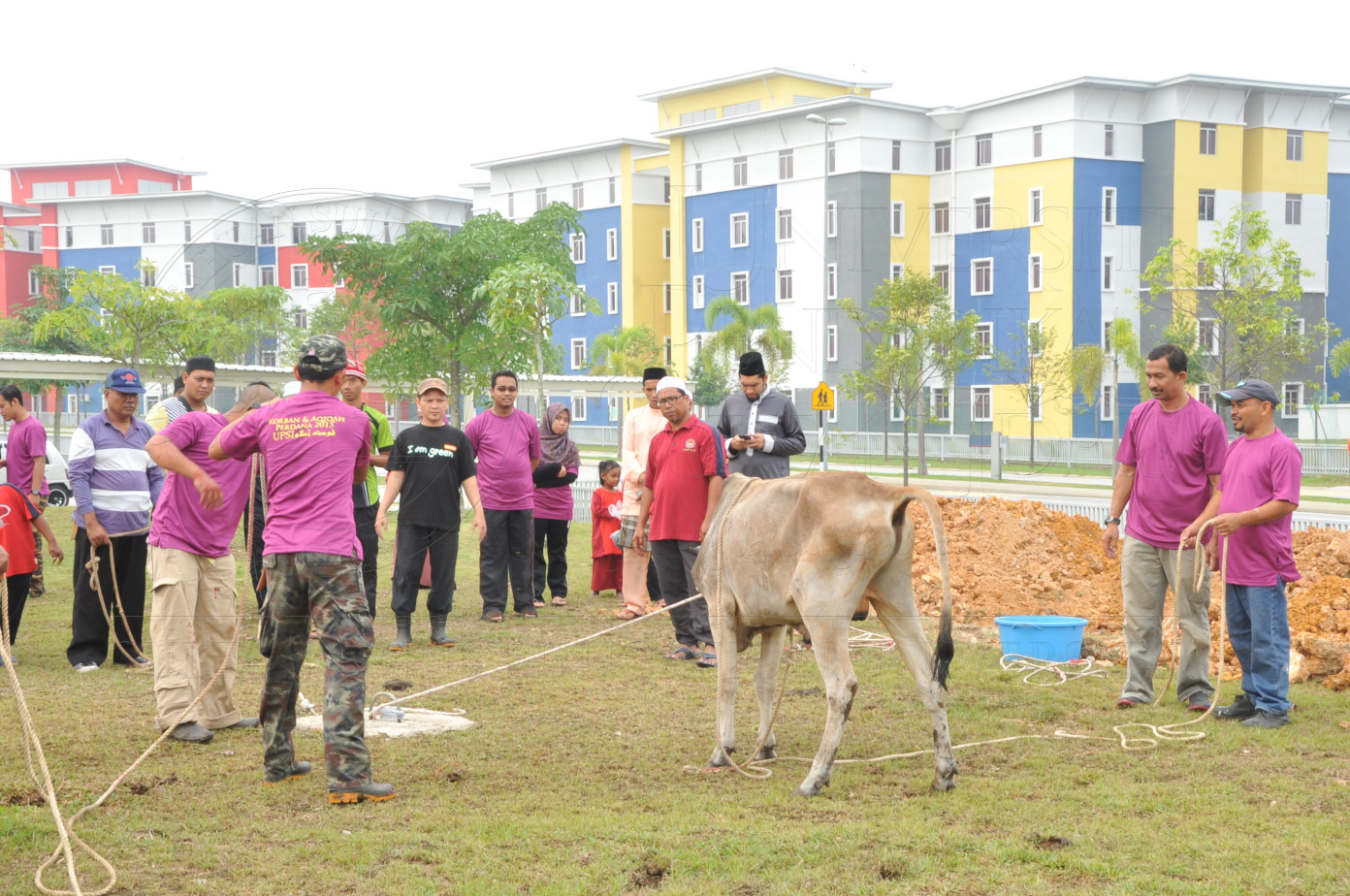 PRO15 150 KORBAN HAS 6799